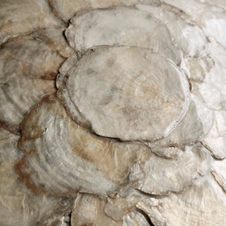 Luxury Elegant 3D Handcrafted White Shell Mother of Pearl Bloom Rosette Sculpted Wall Decor | Black Framed