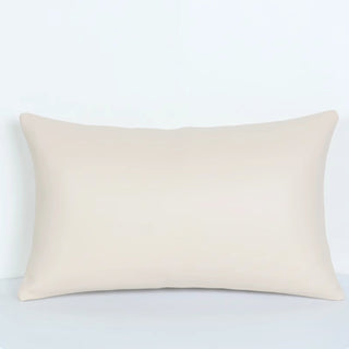 Premium PU Leather Accent Pillow | Contemporary Sofa Cushion | Easy Clean Design